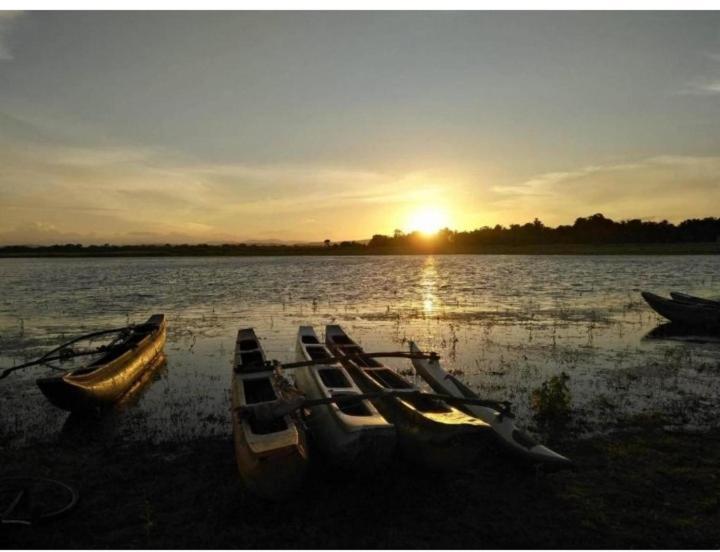 Arani Homestay Polonnaruwa Buitenkant foto