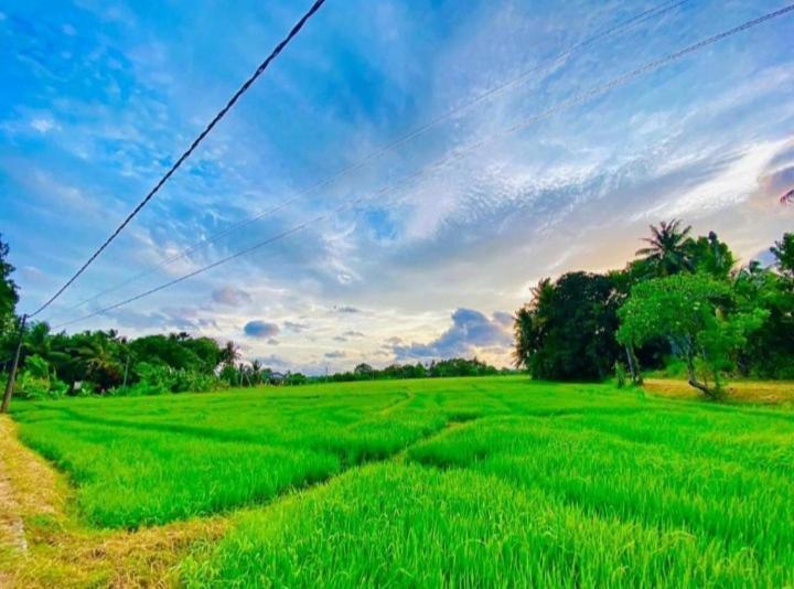 Arani Homestay Polonnaruwa Buitenkant foto