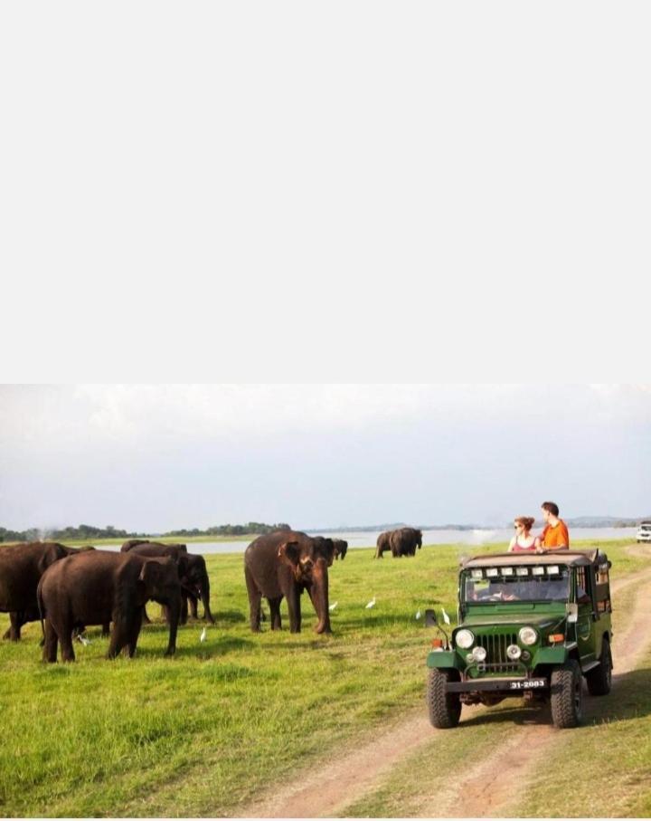 Arani Homestay Polonnaruwa Buitenkant foto